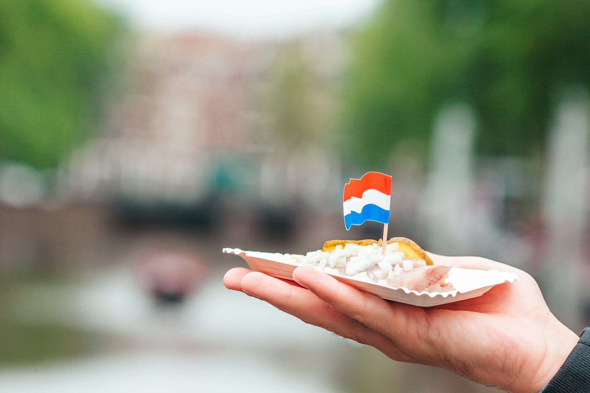 Tasty fresh herring with onion and netherland flag on the water channel background in Amsterdam